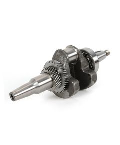 RADILICA 15KS - TISTO