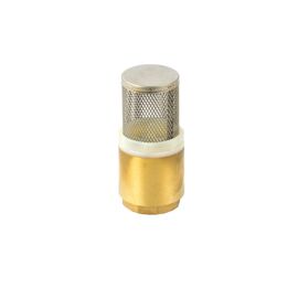 Brass non-return valve with basket mesh filter Colski DN 25 - TISTO