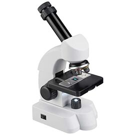 Mikroskop za začetnike