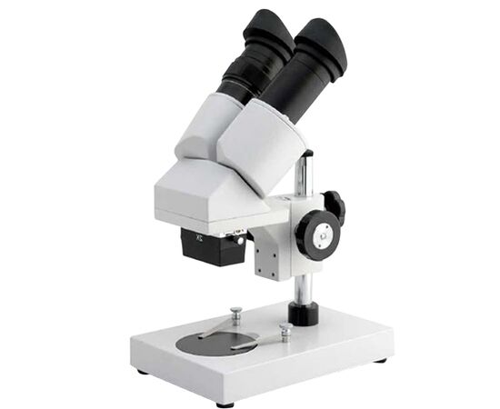 Microscopio estéreo - lupa - TISTO